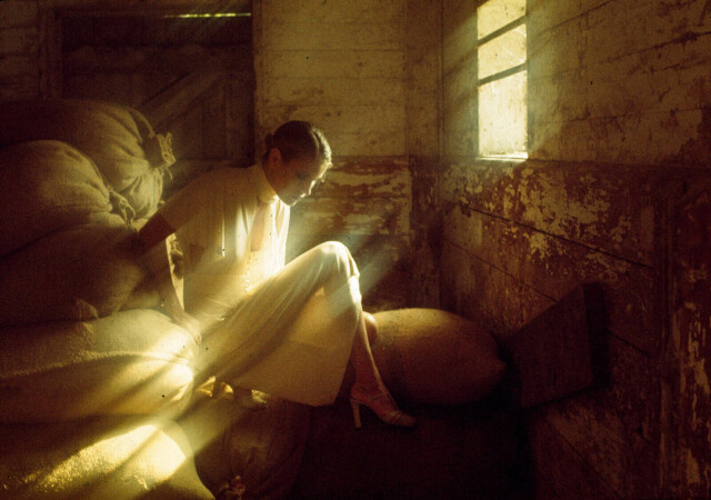 фото Роберт Фарбер