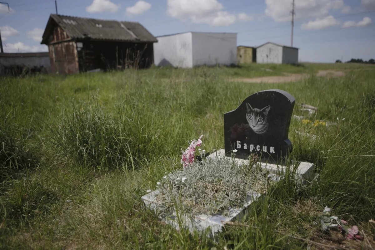    Кладбища домашних животных запрещены в России, но, несмотря на это, люди продолжают хоронить питомцев