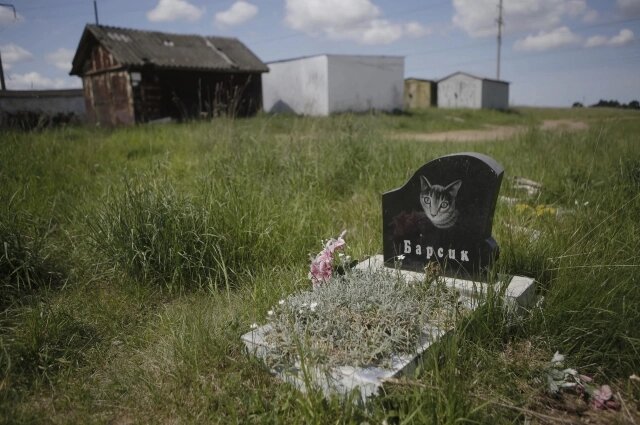    Не у каждого хватает эмоциональных сил, чтобы кремировать питомца. Зачастую люди выбирают погребение Фото: АиФ-Псков/ Андрей Степанов