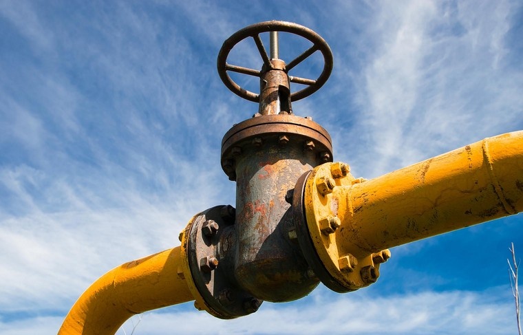    Shutterstock/FOTODOM