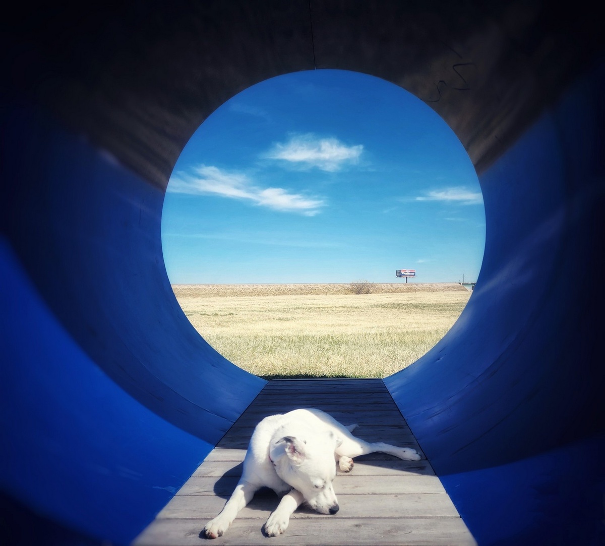    Cerrina Smith, mobilephotoawards.com