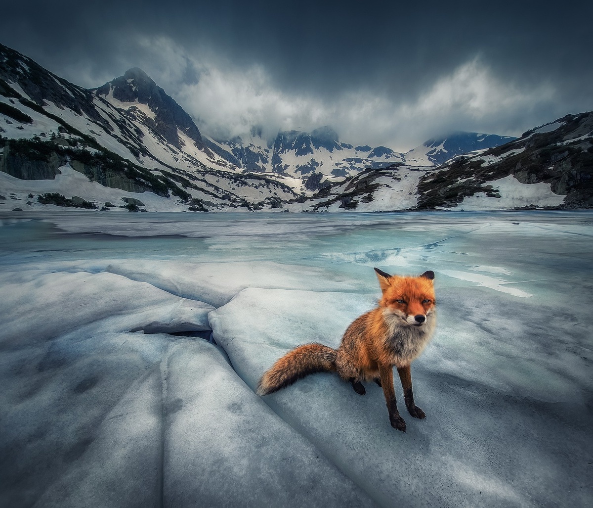    «Пейзажи и дикая природа». Krasimir Matarov, mobilephotoawards.com