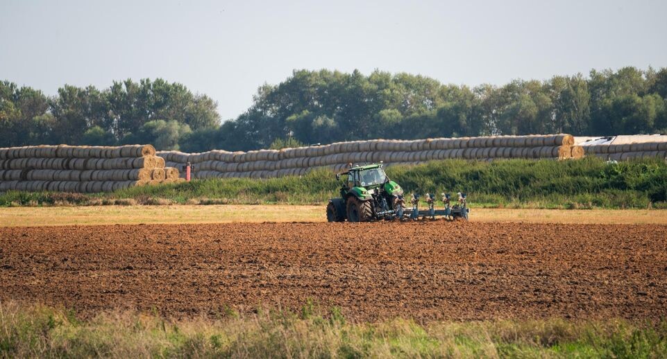    фото: Медиасток.РФ