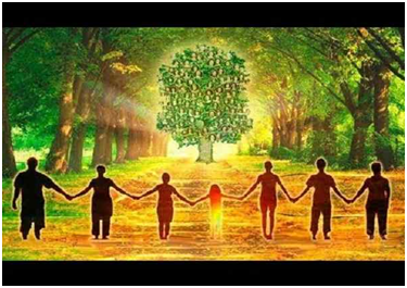 Род - 7 поколений