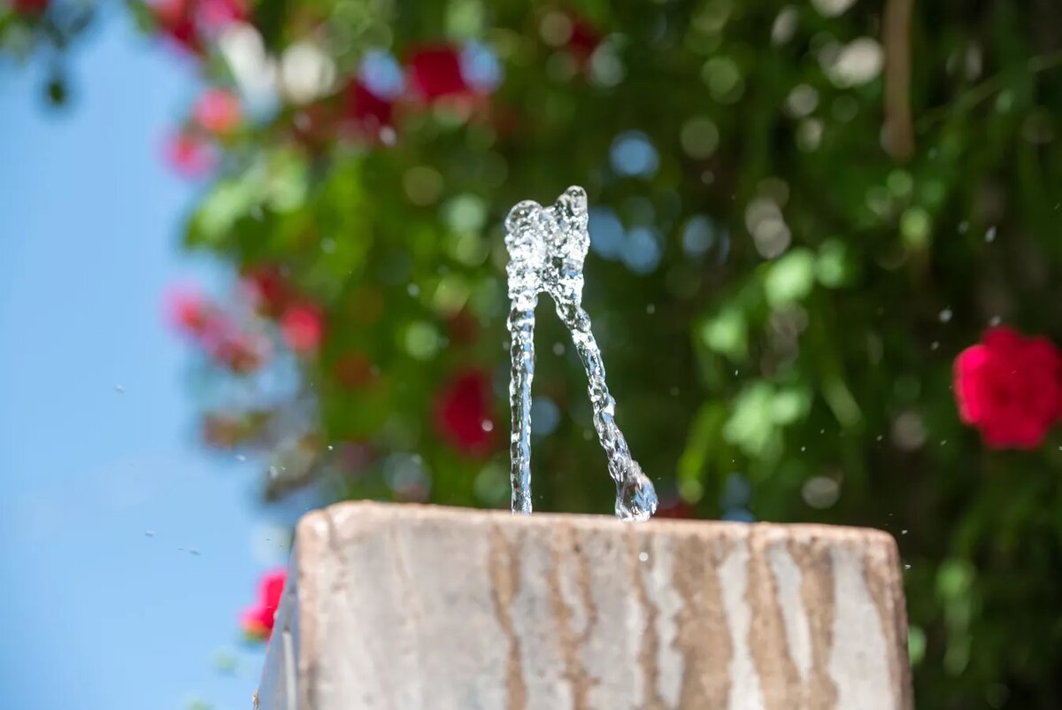 © Sputnik / Andranik Ghazaryan