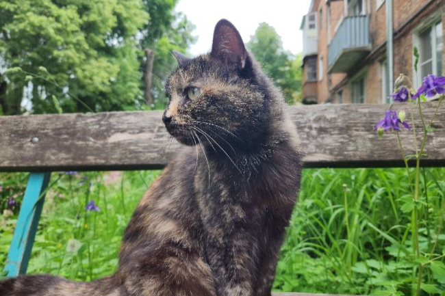 Фото: ИА "Регион 71"