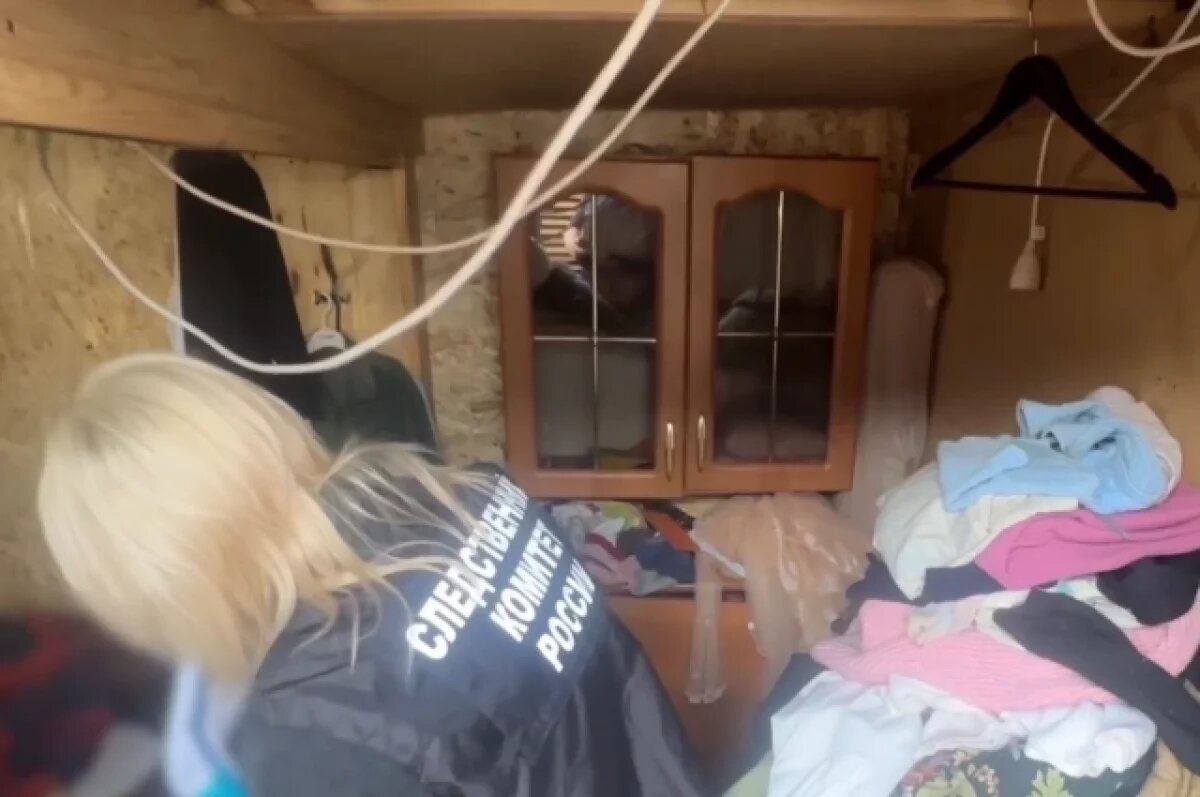    Бухановская: мать в Канске могла убить детей при обострении шизофрении