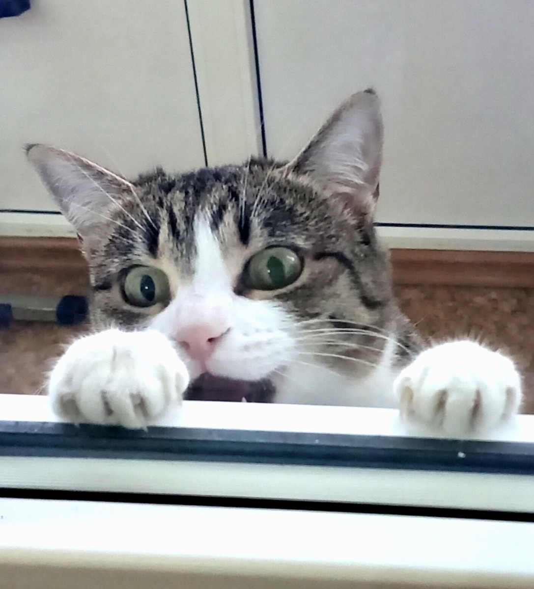 Фото из личного архива автора.