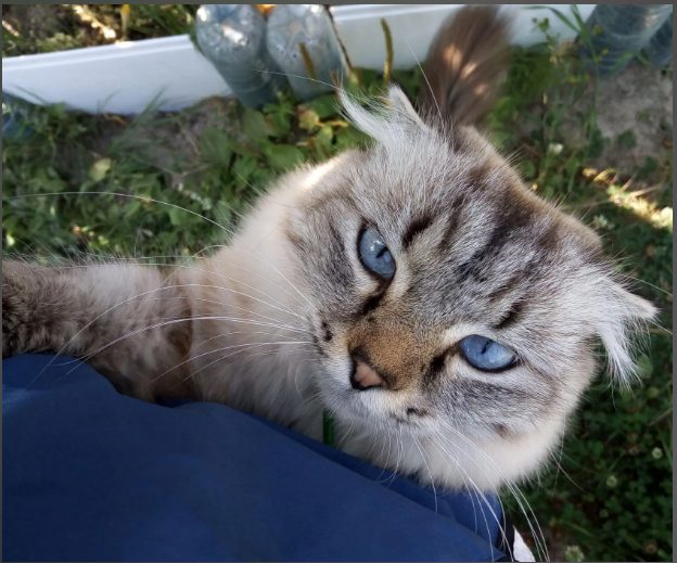 Фото из личного архива автора.