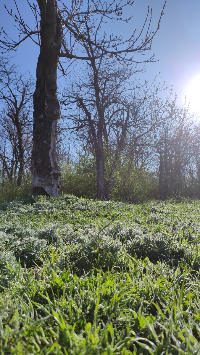 Апрель, утро, бег