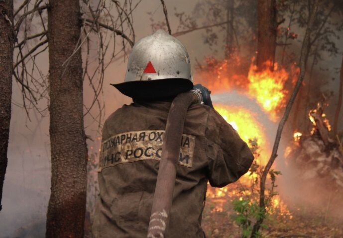     / Источник: © Михаил Миронов/РИА Новости