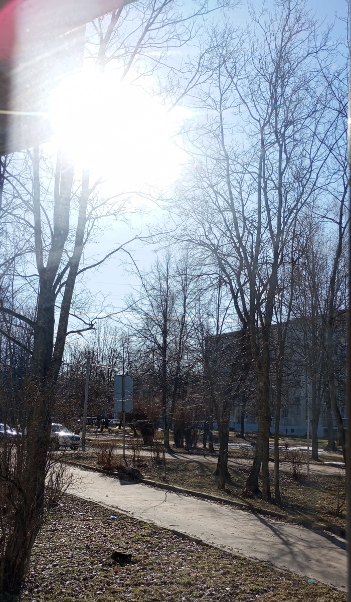 Фото автора. 