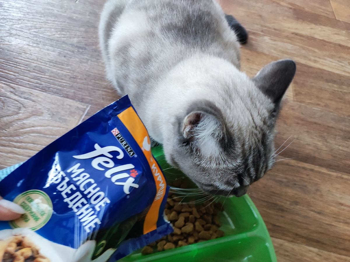 Любимая еда  Сони"Феликс".