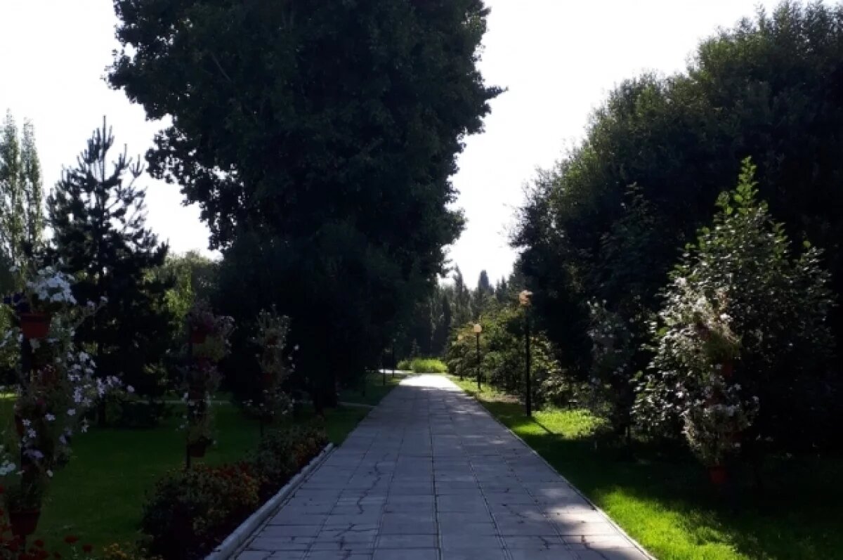    Сезон прогулок открылся в омском дендросаду имени Гензе