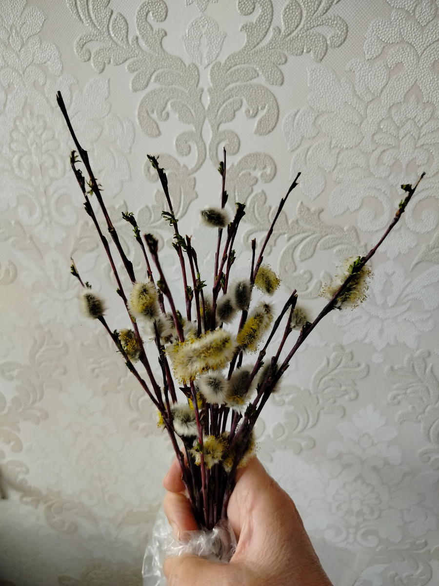 Принесла домой освященную вербу