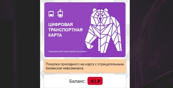    Фото: В курсе.ру Полина Анкушина