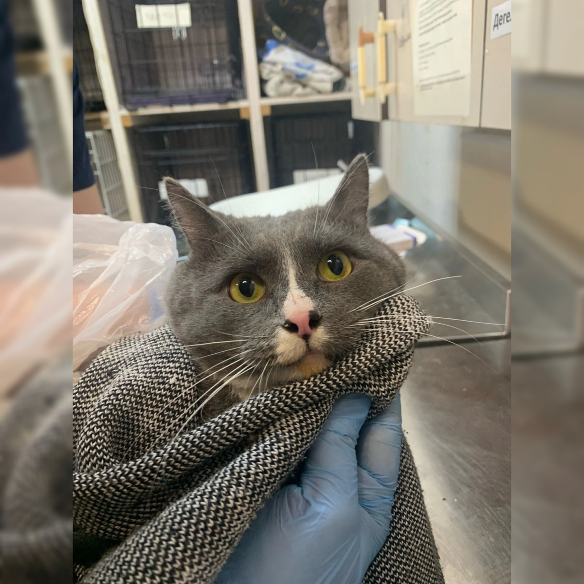 Ручеёк приехал из переполненной квартиры.