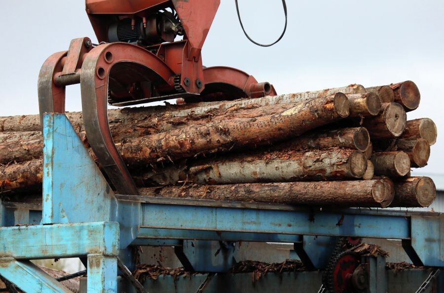     / Источник: © Илья Наймушин/РИА Новости