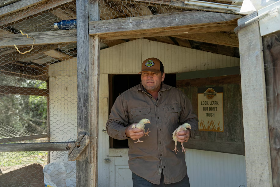 Джейми Эджер проводит экскурсию по ферме Hickory Nut Gap недалеко от Фэйрвью, Северная Каролина.