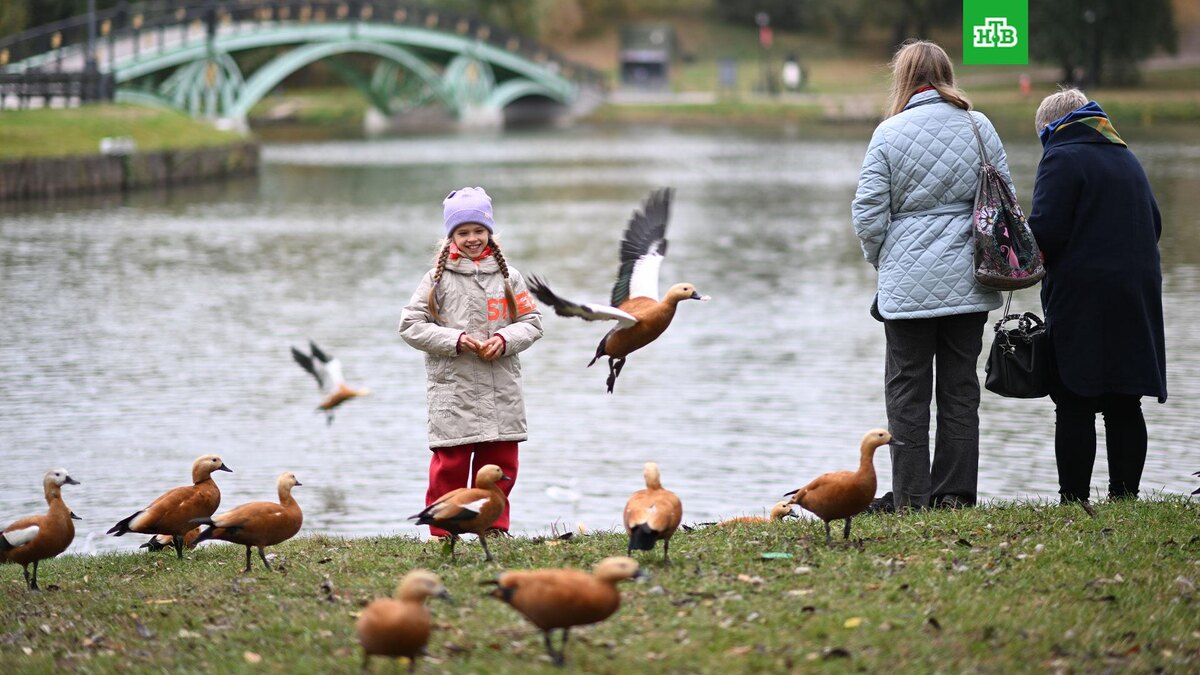    Фото: РИА Новости © 2025, Алексей Майшев