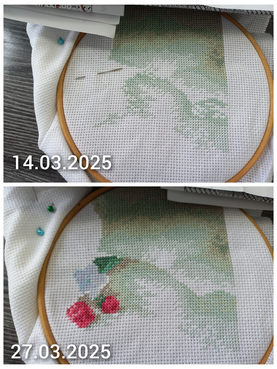 Фрагмент вышивки по набору от фирмы Панна Ц-1184 "Флоксы"