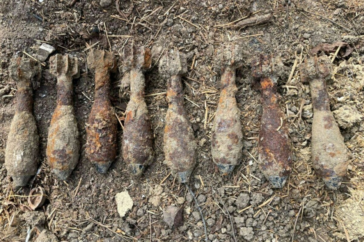    Фото: пресс-служба Росгвардии по Краснодарскому краю