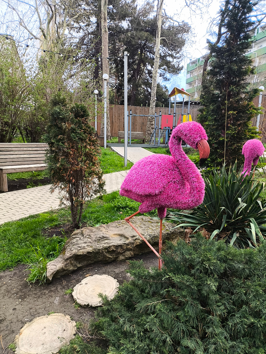 Топиарий. Фламинго