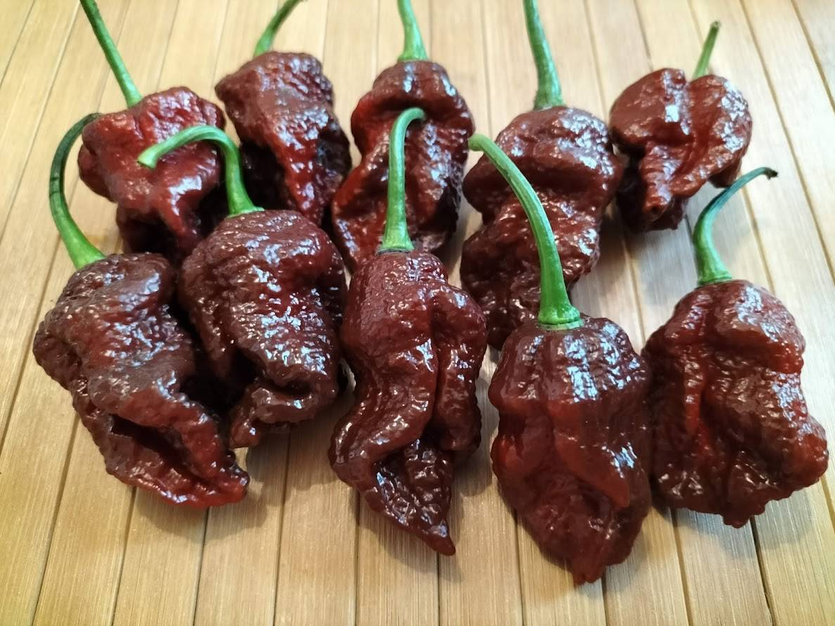 Фото: Дядюшка Чили