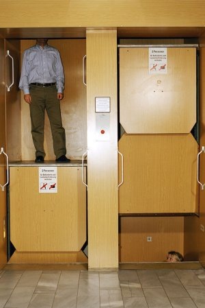    Лифты любых конструкций периодически требуется менять. Жители оплачивают это через капремонт. / Фото: Getty Images