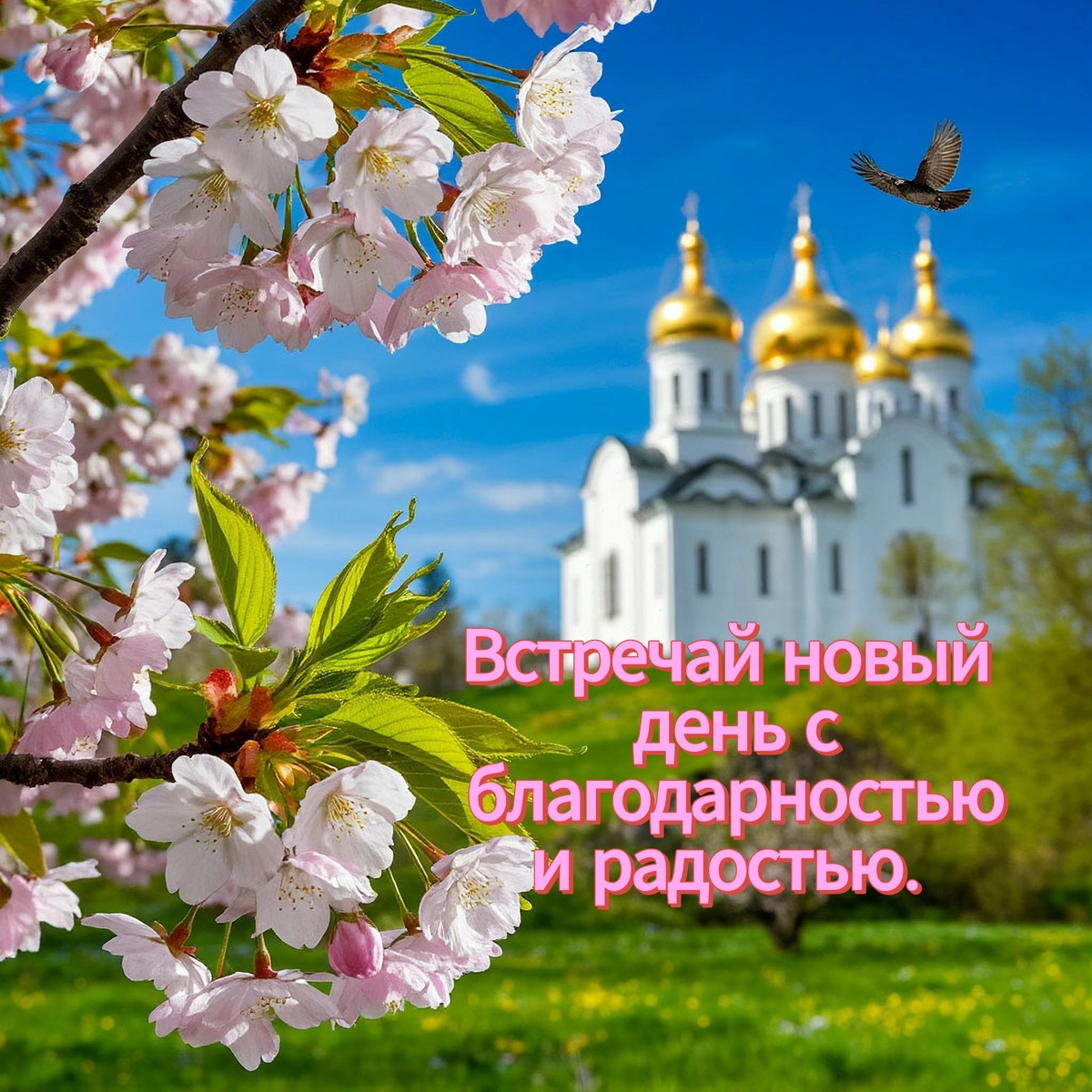 Картинка. Весна. 