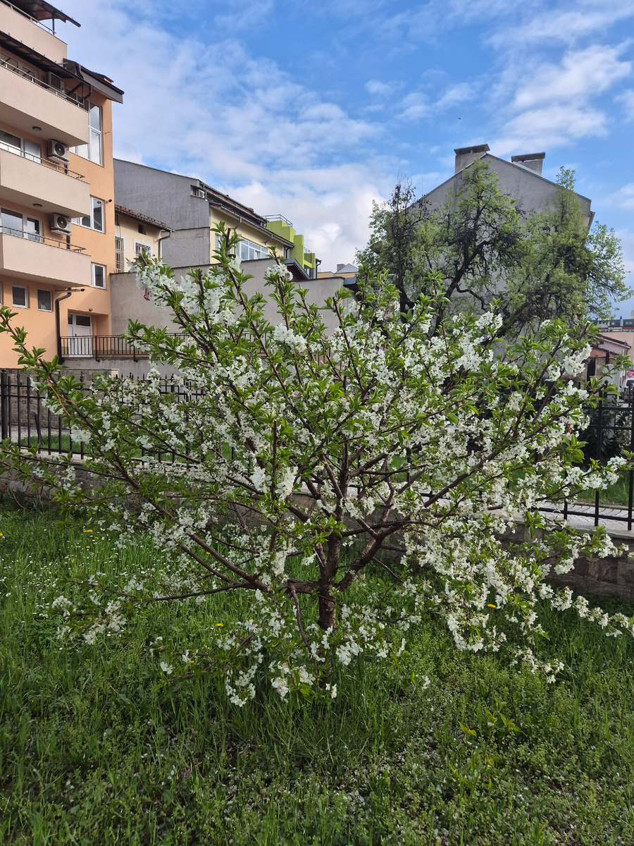 А у нас во дворе... не акция конечно, но тоже симпатично.
