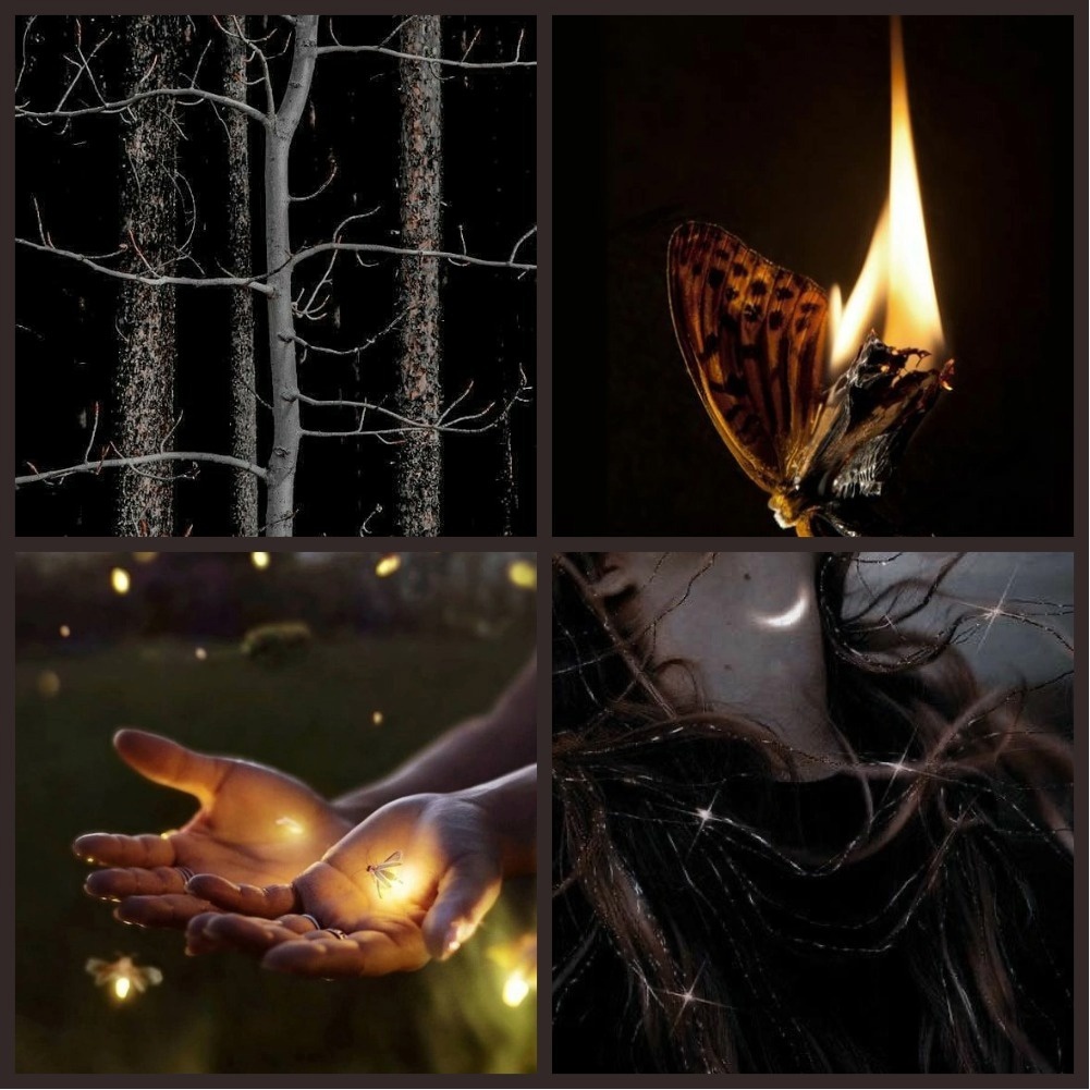 Коллаж - все фото из интернета 