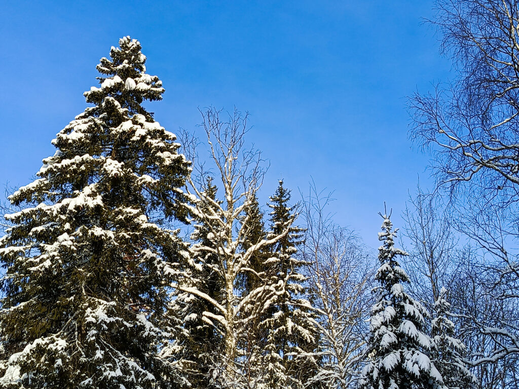    Фото: Ульяна Бажанова Полина Анкушина