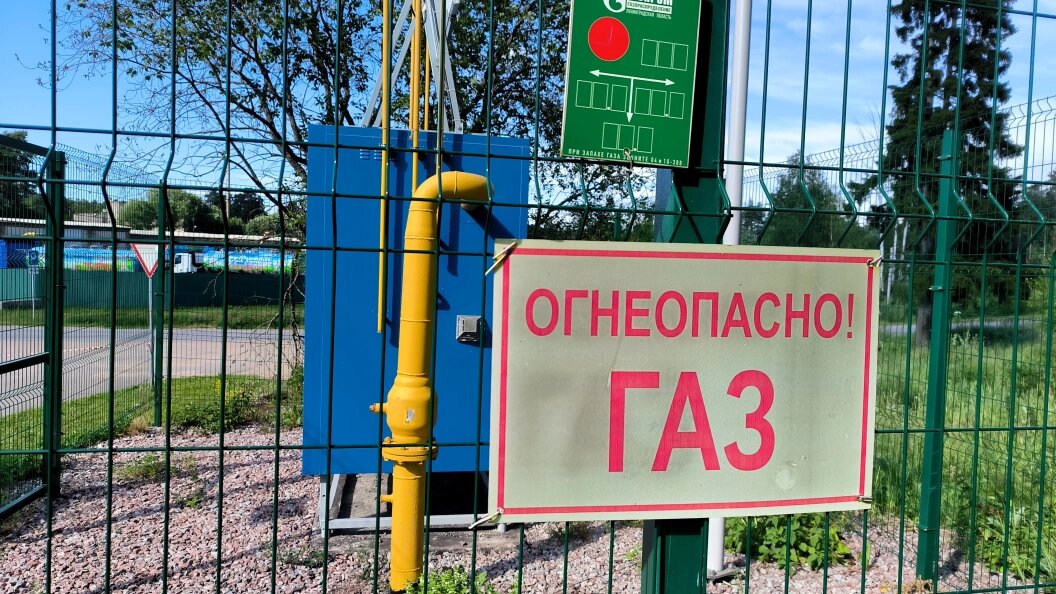    Maksim Konstantinov/Global Look Press