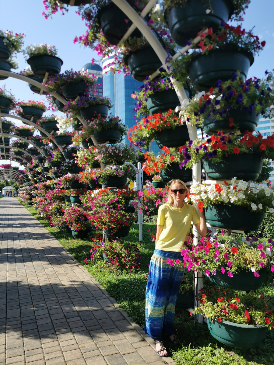 Так сажат петунии в Грозном 