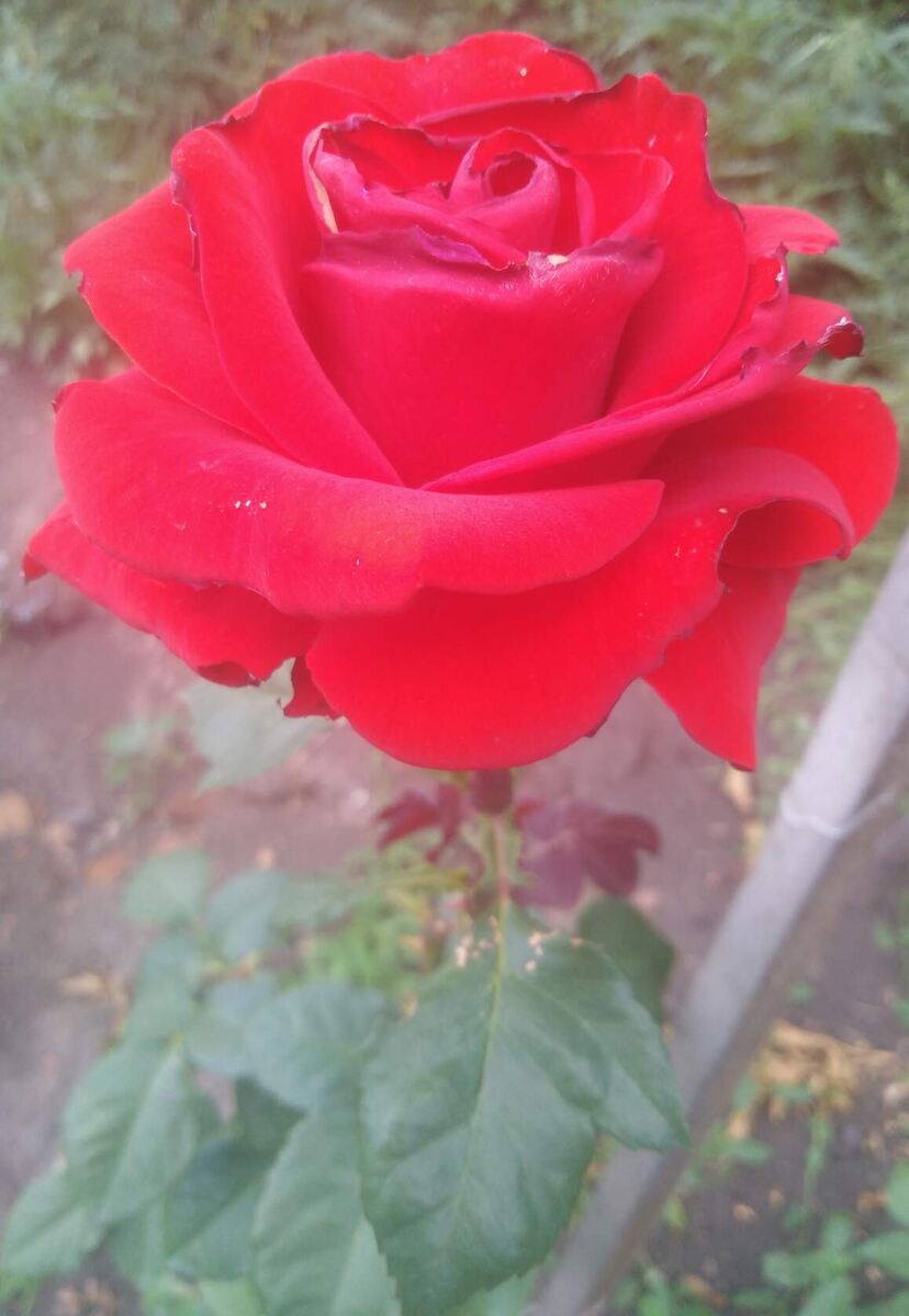 фото Татьяны