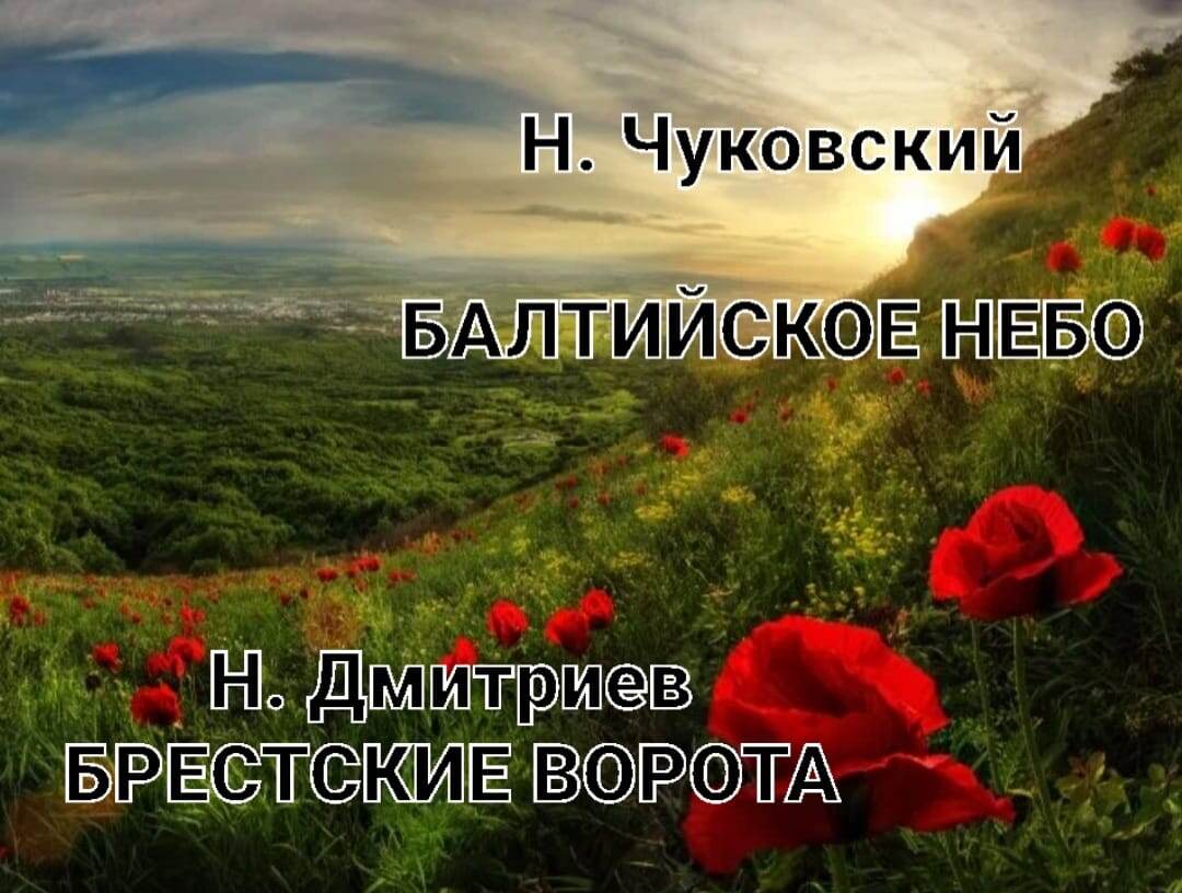 Фото: Д. Медянцев