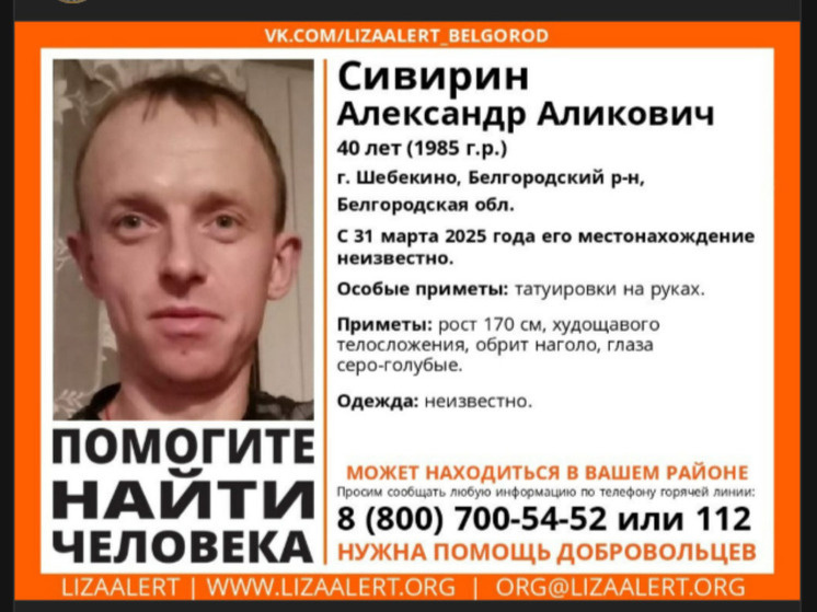     Белгородские волонтеры ищут обритого наголо мужчину с татуировками на руках, фото: скриншот изображения со страницы vk.com/lizaalert_belgorod