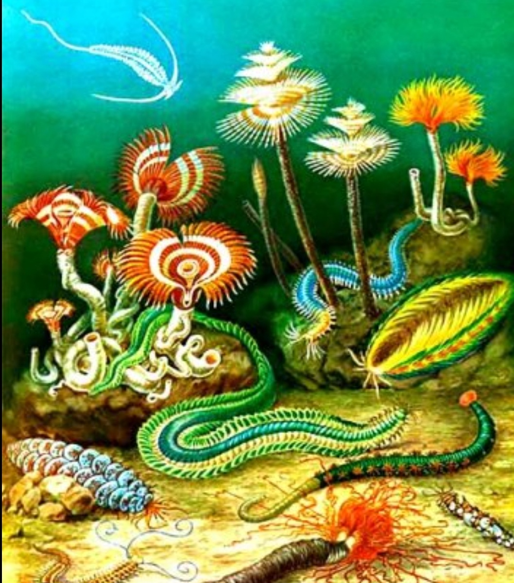 Протерозойская эра.