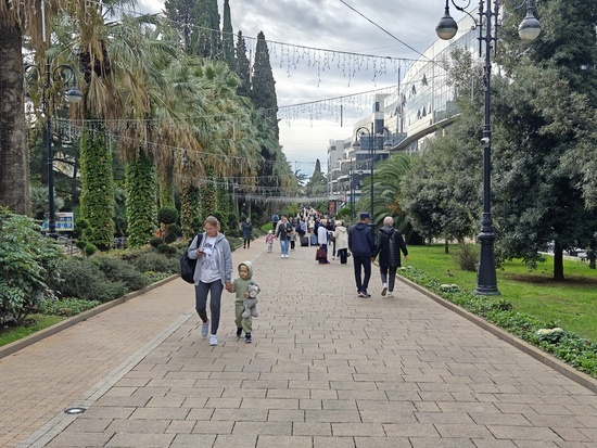    Фото: Юрий Серебренников/BFM Кубань