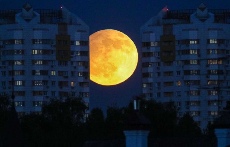    Сергей Булкин/NEWS.ru