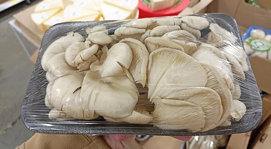   Выбирайте вешенки со светлыми шляпками — такие грибы моложе, нежнее и имеют более выраженный вкус (Shutterstock/FOTODOM)