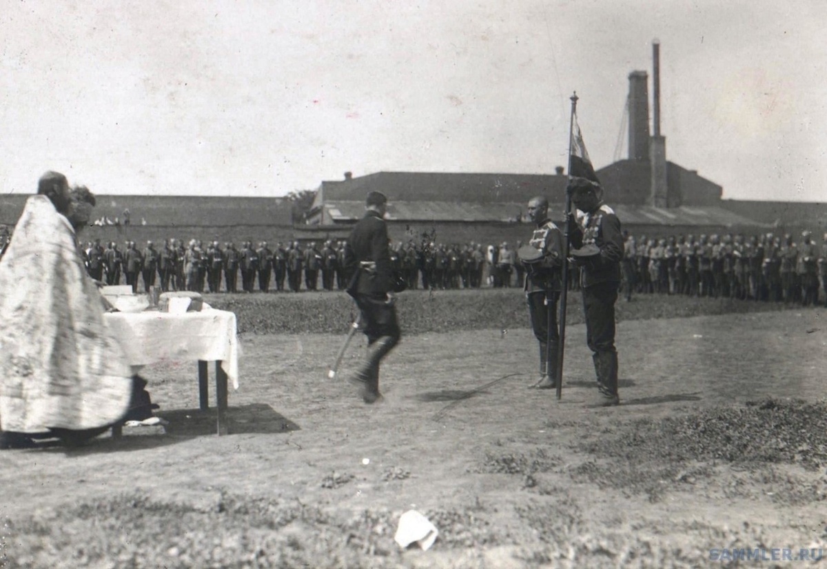 Фото из открытого доступа