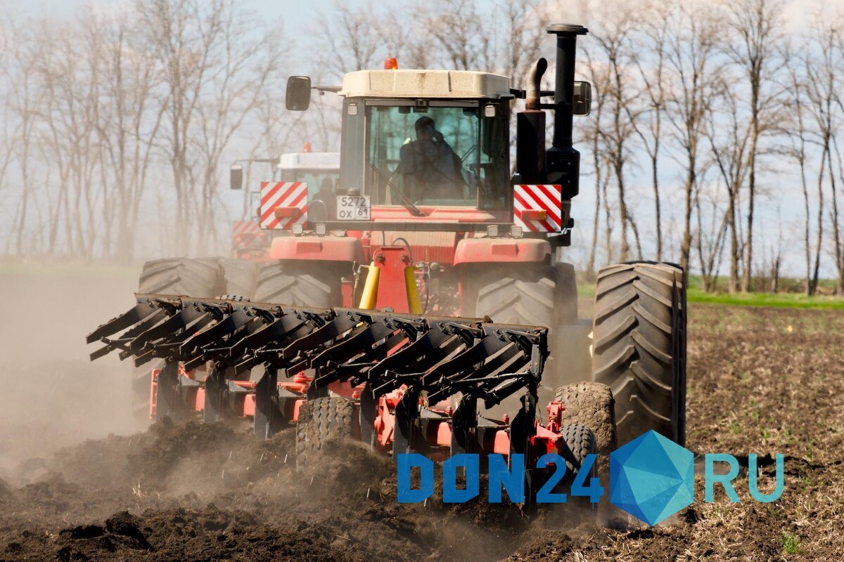    ДОН24   📷   ДОН24   📷   ДОН24   📷   ДОН24