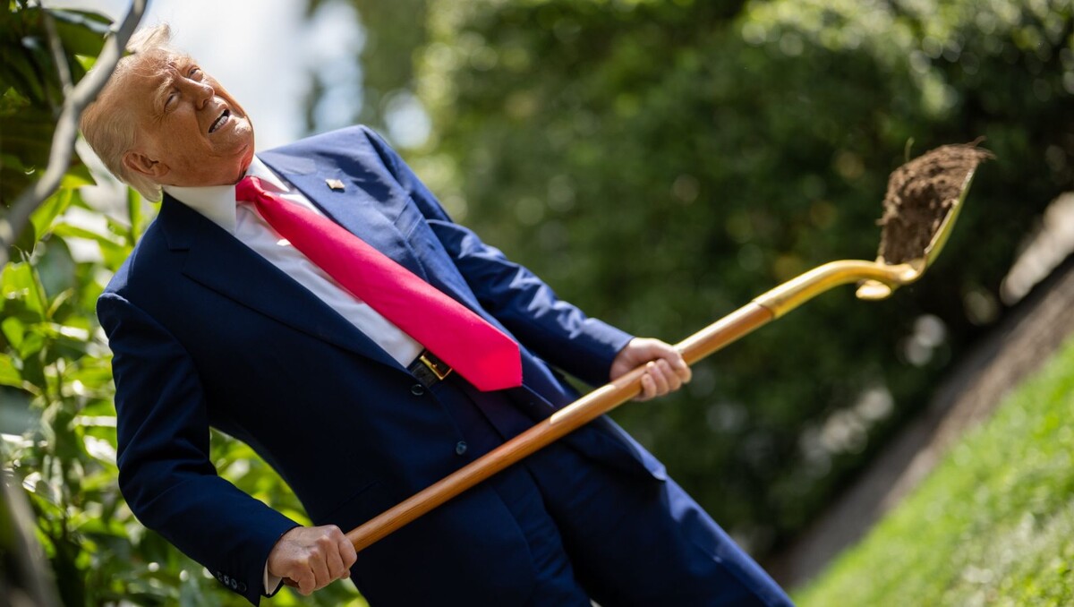     Источник: The White House