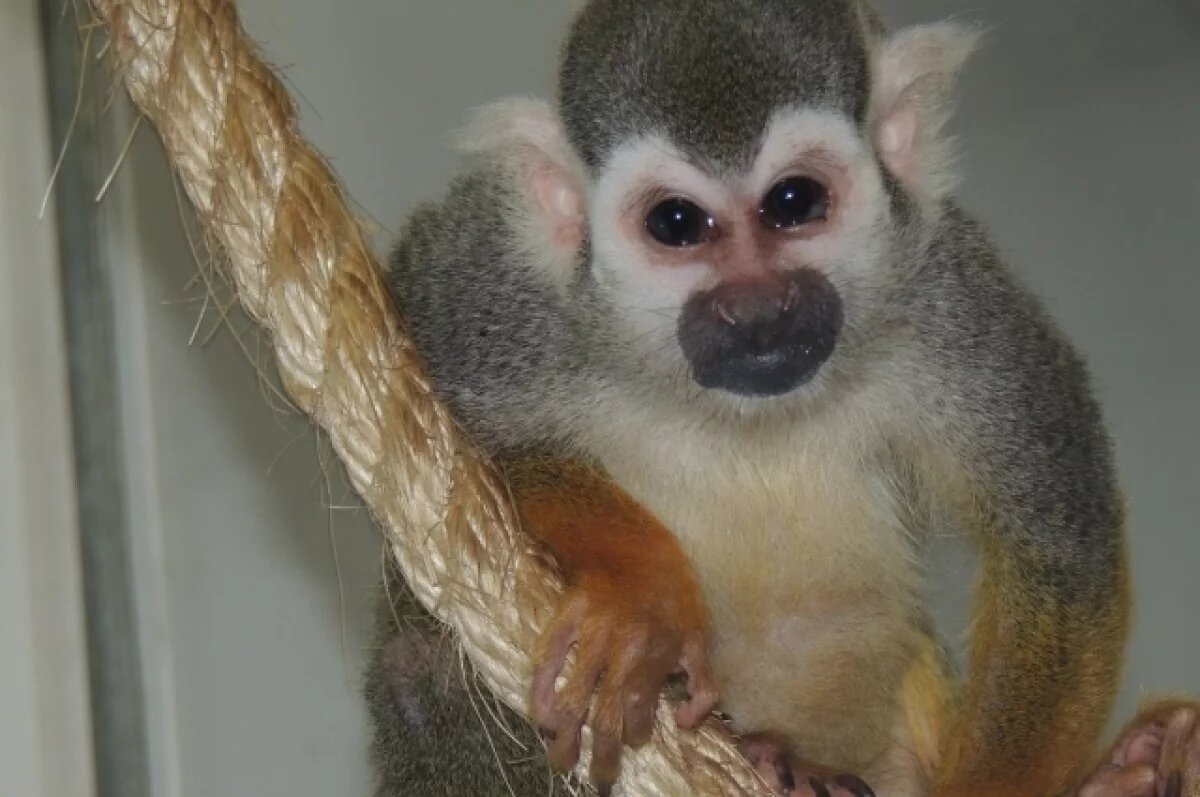    Челябинский зоопарк переходит на летний режим работы с 15 апреля