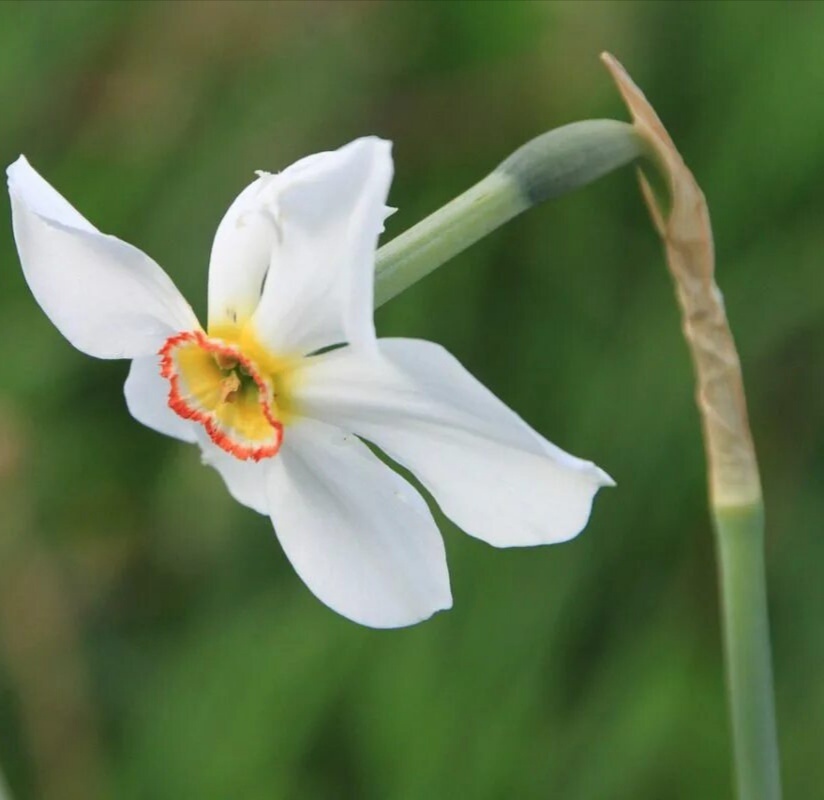 Яндекс фото 