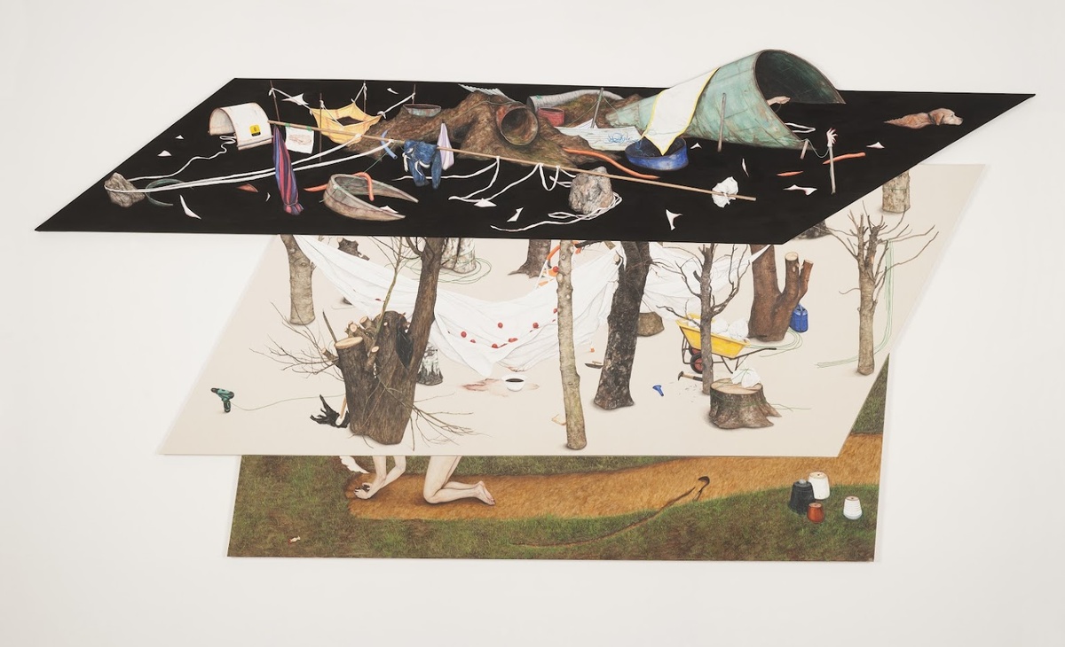    В Нижнем Новгороде пройдет Первая Международная биеннале экологического искусства (фото 1)