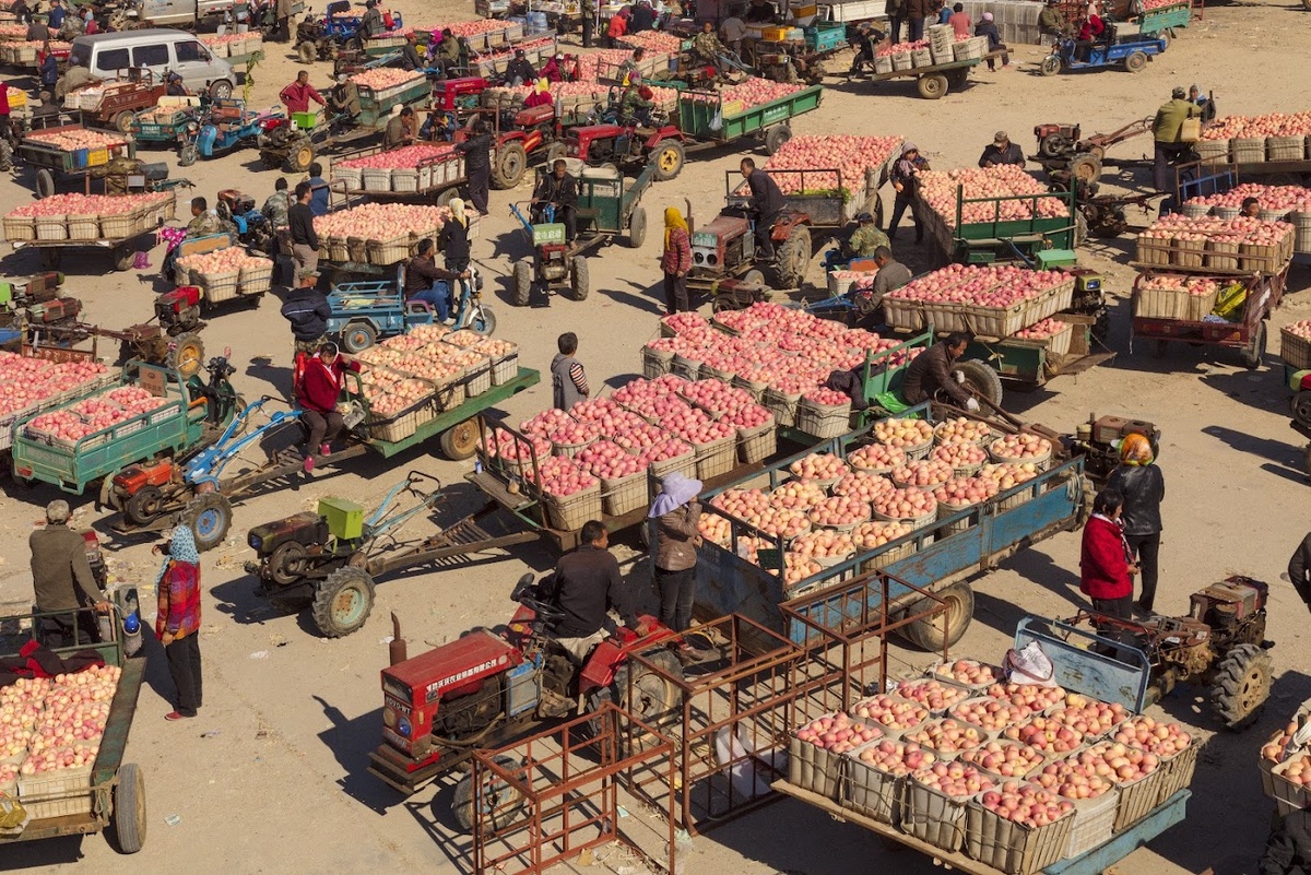    В Нижнем Новгороде пройдет Первая Международная биеннале экологического искусства (фото 2)