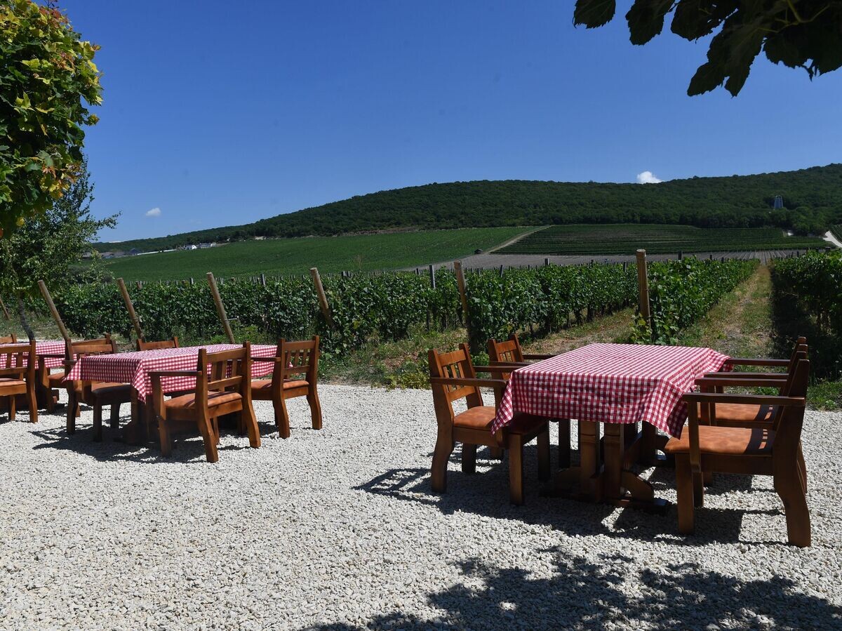    Дегустационные столики на винодельной "Мысхако" в деревне Федоровка, в районе Новороссийска© РИА Новости / Михаил Воскресенский